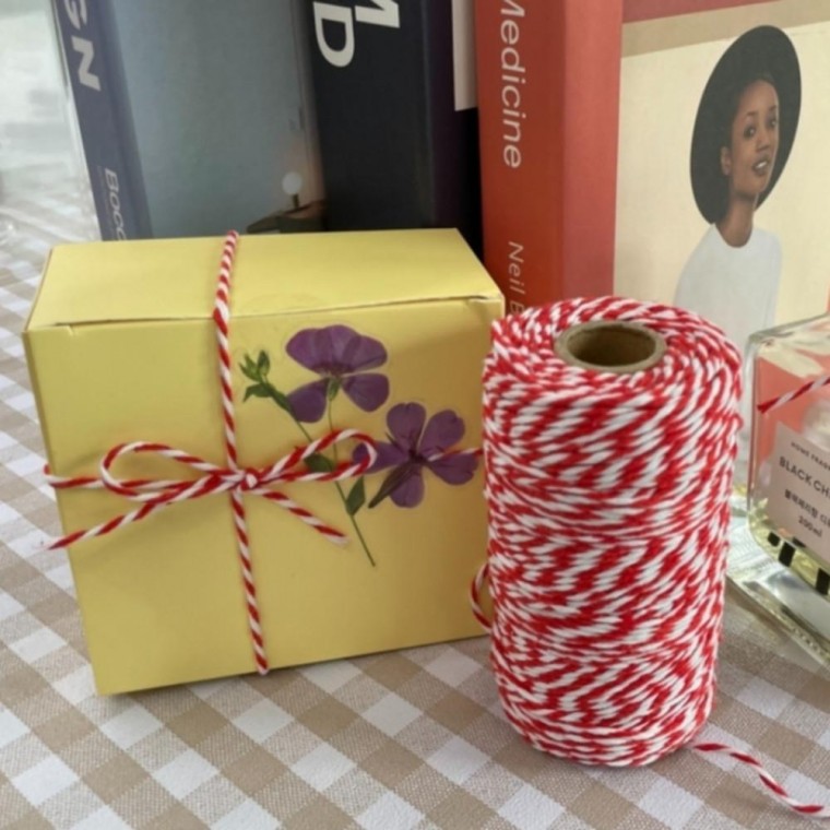 Màu đỏ Khoảng 100m Tack Dây Dây Xe Nút Thắt Thủ Công Sợi Màu Dây Ruy Băng Gói Quà Hoàn Thiện Trang Trí Dây