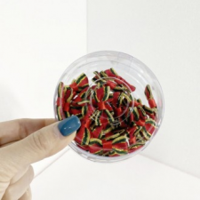 Bộ ruy băng nhỏ số lượng lớn Bộ ruy băng nhỏ làm vật liệu trang trí (Loại thùng)