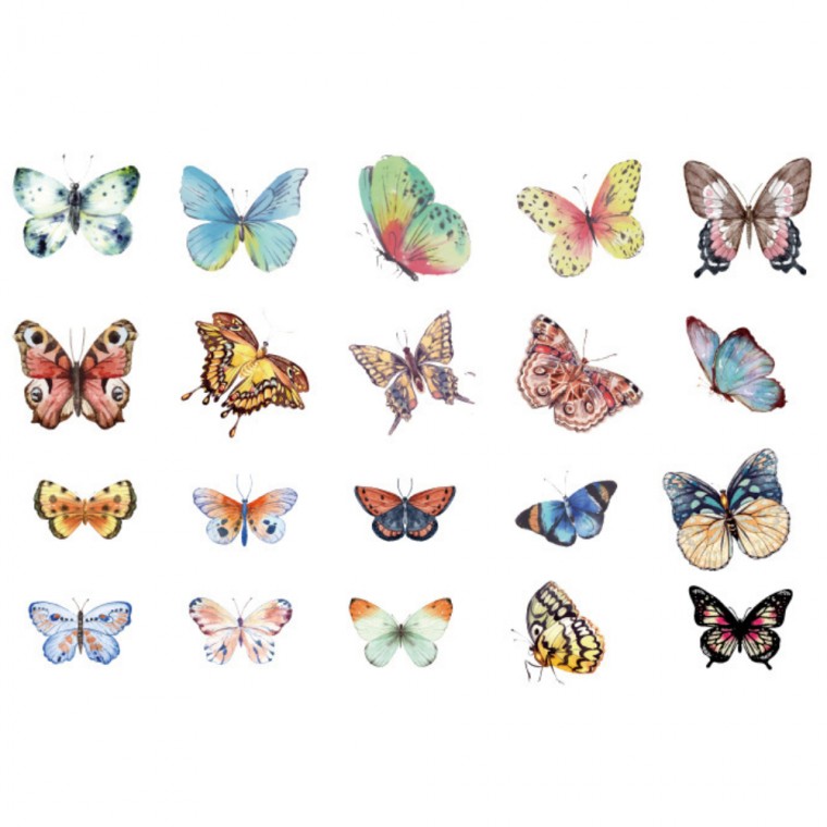 Nhãn dán trang trí nhật ký bướm đầy màu sắc