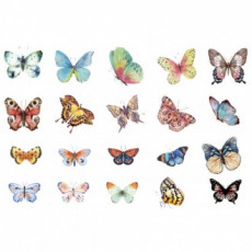 Nhãn dán trang trí nhật ký bướm đầy màu sắc