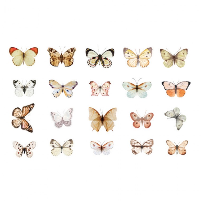 Nhãn dán trang trí nhật ký bướm trắng