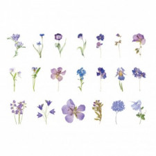 Nhãn dán trang trí nhật ký hoa màu tím