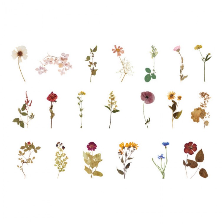 Miếng dán trang trí nhật ký hoa ép