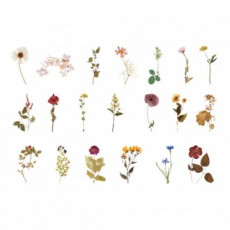 Miếng dán trang trí nhật ký hoa ép