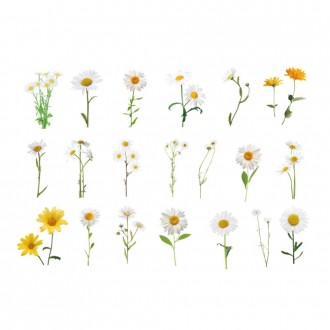 Nhãn dán trang trí nhật ký hoa cúc