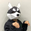 Làm mặt nạ giấy 3D Husky