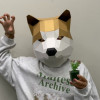Làm mặt nạ giấy 3D Shiba Inu