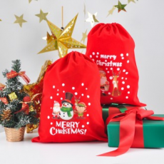 Bao đựng quà giáng sinh (in)