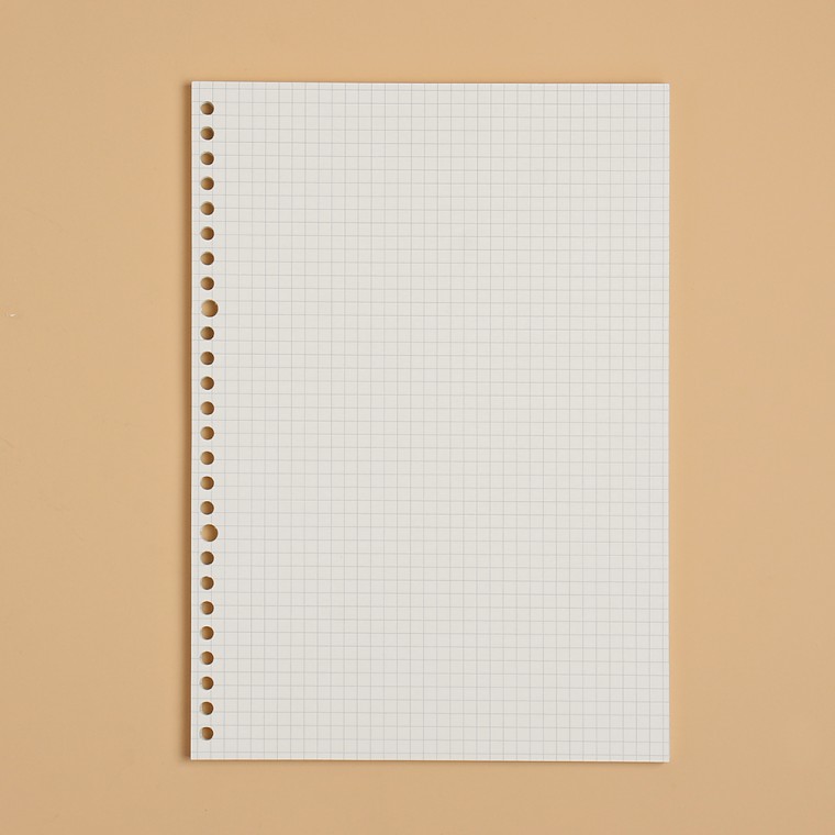 26 lỗ bìa sổ ghi chép giấy bên trong 60 tờ B5 lưới lưới nạp giấy bên trong