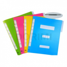 Hồ sơ chính phủ Dorimi PP A4 (10 cái)